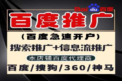 某电商平台的SEM优化托管实践与效果评估
